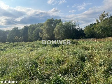 Górki Noteckie, Zwierzyn, strzelecko-drezdenecki, lubuskie