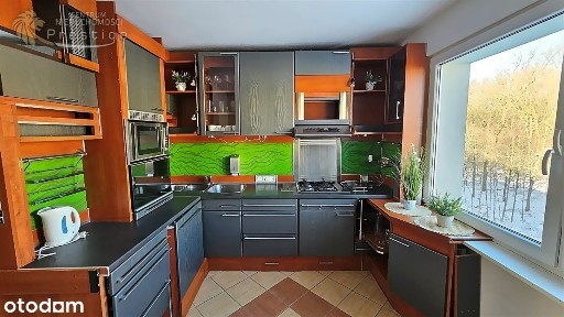 Miechowice, Bytom, śląskie