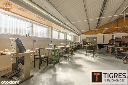 Hala pod działalność produkcyjną lub magazynową