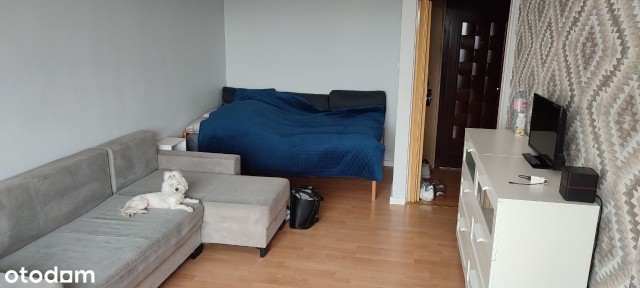 ul. Karpacka, Oliwa, Gdańsk, pomorskie