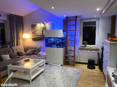 ul. Henryka Ossowskiego, Płock, mazowieckie