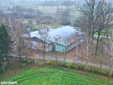 Koło, kolski, wielkopolskie