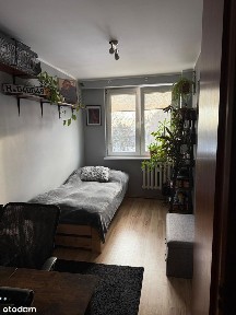 Mieszkanie w centrum miasta