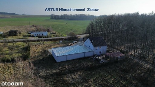 Budynek usługowo-mieszkalny, duża działka- Francis