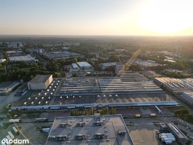 hala produkcyjna - 6 110 m² | Teofilów Przemysłowy