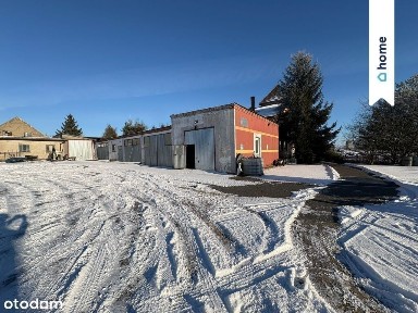 ul. Spacerowa, Przysiersk, Bukowiec, świecki, kujawsko-pomorskie