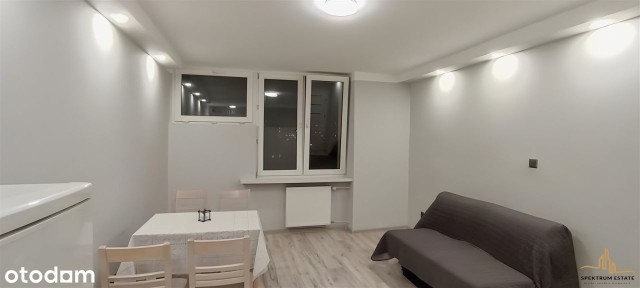 Kawalerka Gotowa Do Wejścia!