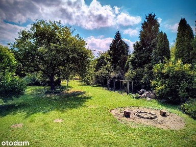 ul. Grabówka, Płock, mazowieckie