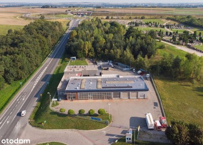 Nysa, nyski, opolskie