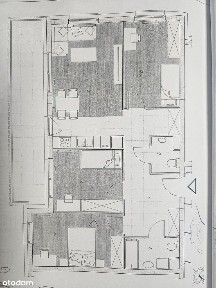 ul. ks. prof. Włodzimierza Sedlaka, Planty, Radom, mazowieckie