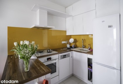 ul. Kurkowa, Nadodrze, Śródmieście, Wrocław, dolnośląskie