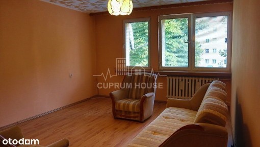 Dwa pokoje w centrum do wynajęcia od zaraz