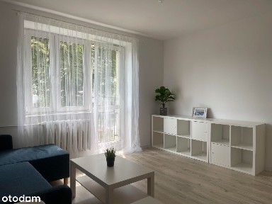 ul. Legnicka, Pogoń, Sosnowiec, śląskie