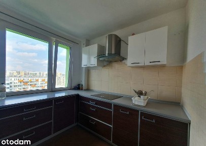 ul. Jabłeczna, Gaj, Krzyki, Wrocław, dolnośląskie