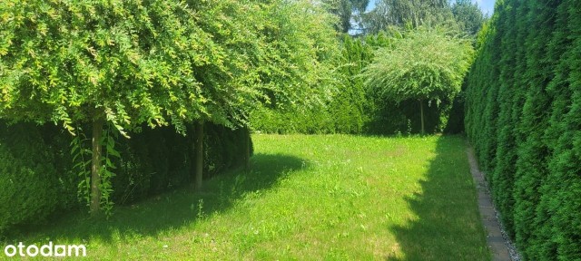 Biała Śródmieście, Bielsko-Biała, śląskie