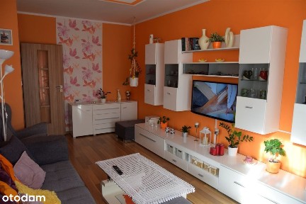 Gniezno, gnieźnieński, wielkopolskie