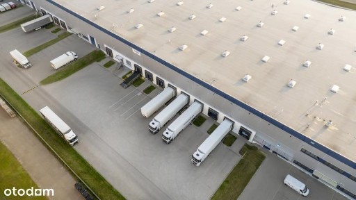 Hala/Magazyn, 2 351 m², Plewiska