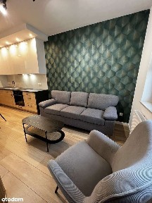 ul. Okulickiego, Parkitka, Częstochówka-Parkitka, Częstochowa, śląskie