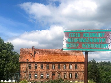 Nowa Wieś Podgórna, Miłosław, wrzesiński, wielkopolskie
