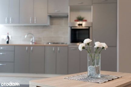 Winiary, Stare Miasto, Poznań, wielkopolskie