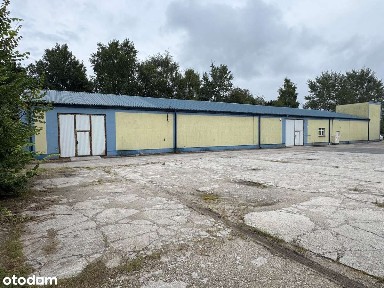 ul. Kręta, Centrum, Zielona Góra, lubuskie