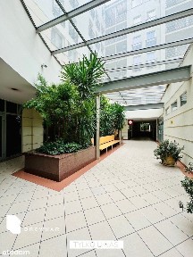 Centrum, Stare Miasto, Poznań, wielkopolskie