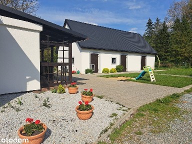 Międzybórz, oleśnicki, dolnośląskie