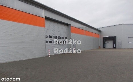 Hala/Magazyn, 1 000 m², Bydgoszcz