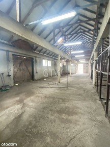 Lisówek, Grójec, grójecki, mazowieckie