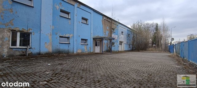 Hala/Magazyn, 1 152 m², Strzegom