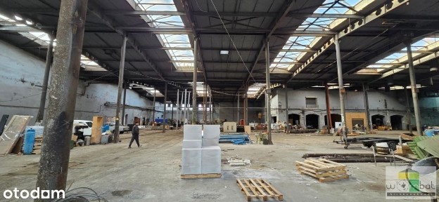 Lokal użytkowy, 5 781 m², Bielawa
