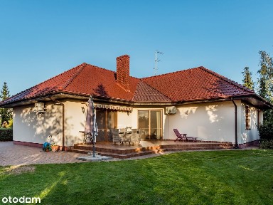 Szamotuły, szamotulski, wielkopolskie