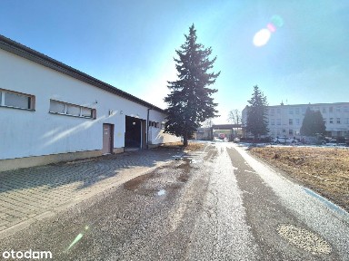 Krosno, podkarpackie