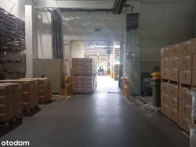Hala Magazynowo Produkcyjna
