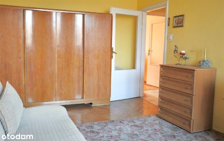 Centrum, zieleń i cisza w jednym miejscu