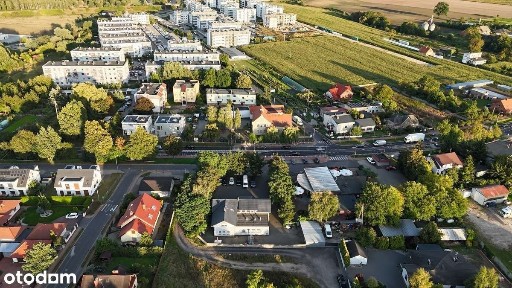 Oborniki, obornicki, wielkopolskie
