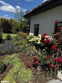 ul. Warszawska, Borzęcin Mały, Stare Babice, warszawski zachodni, mazowieckie
