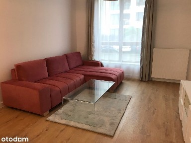 Błonia Wilanowskie, Wilanów, Warszawa, mazowieckie