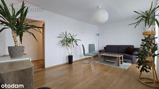 Przestronne, zadbane 3 pok. z balkonem na Gaju.