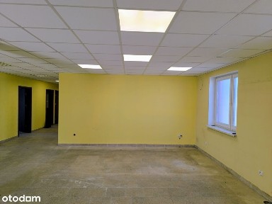 Mikołów, mikołowski, śląskie