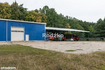Hala/Magazyn, 1 500 m², Kruszyn