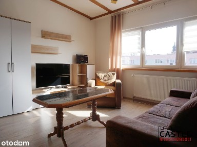 po remoncie I centrum I blisko do tramwaju I Park Planty I antresola