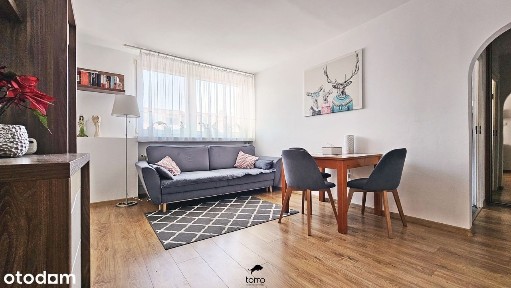 Zarzew, Widzew, Łódź, łódzkie