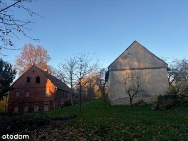 Zapusta, Olszyna, lubański, dolnośląskie