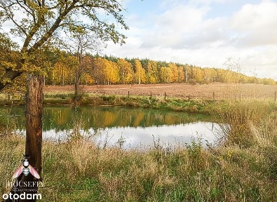 Pieszkowice, Polkowice, polkowicki, dolnośląskie