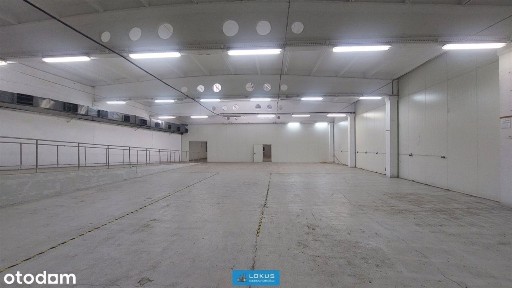 Dąbrowa, Górna, Łódź, łódzkie