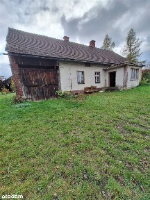 Ruda Kozielska, Kuźnia Raciborska, raciborski, śląskie