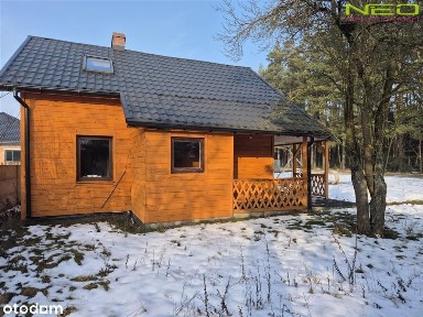 Dom letniskowy całoroczny w otoczeniu lasów.
