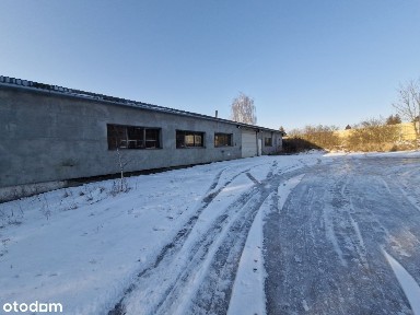 2 hale w cenie działki, 300 m² i 500 m², Lubicz Dolny, Sadowa, przy A1