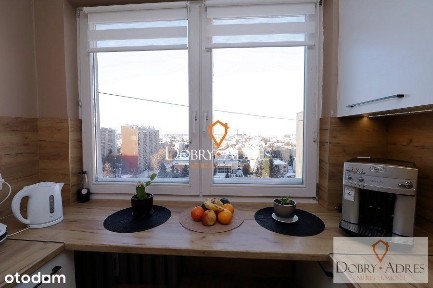 ul. Sportowa, Króla Stanisława Augusta, Rzeszów, podkarpackie